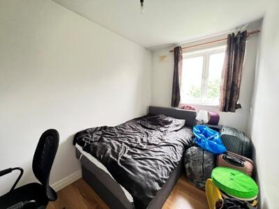 Picture 7